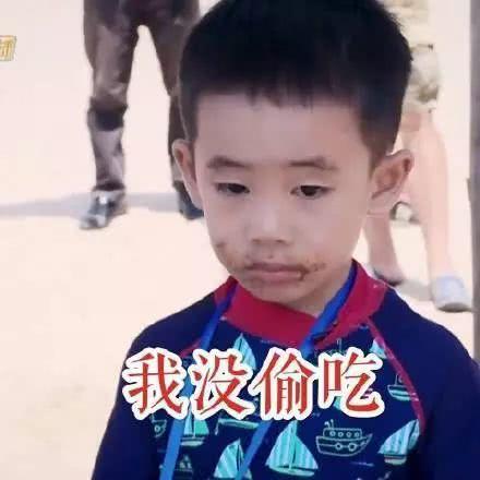 一波搞笑Jasper表情包,小小春萌化我了!