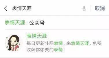 一波搞笑Jasper表情包,小小春萌化我了!