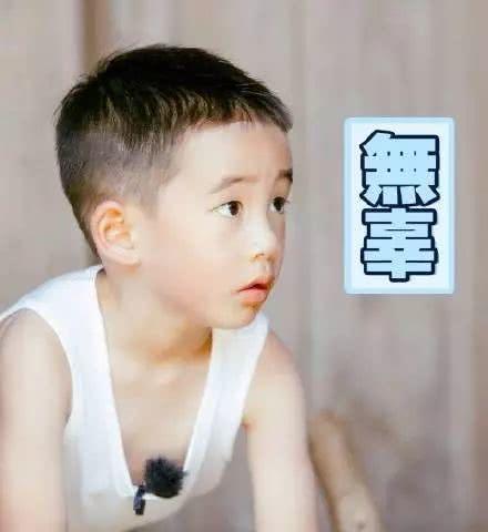 一波搞笑Jasper表情包,小小春萌化我了!