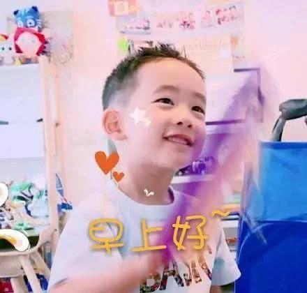 一波搞笑Jasper表情包,小小春萌化我了!