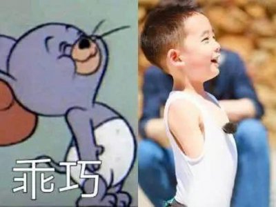 ​一波搞笑Jasper表情包，小小春萌化我了！