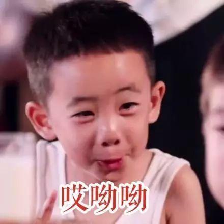 一波搞笑Jasper表情包,小小春萌化我了!