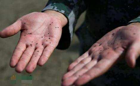 一组照片记录边防战士们的真实生活, 看到第三张眼泪忍不住了