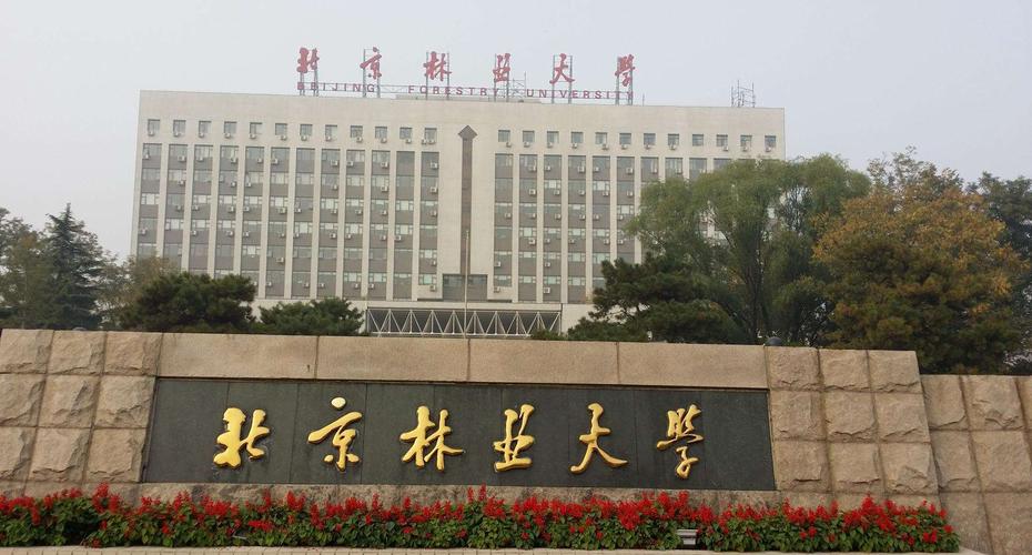 北京林业大学是985还是211(你喜欢这所学校吗)