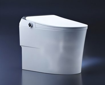 ​马桶品牌排名(较为畅销的智能马桶十大品牌)