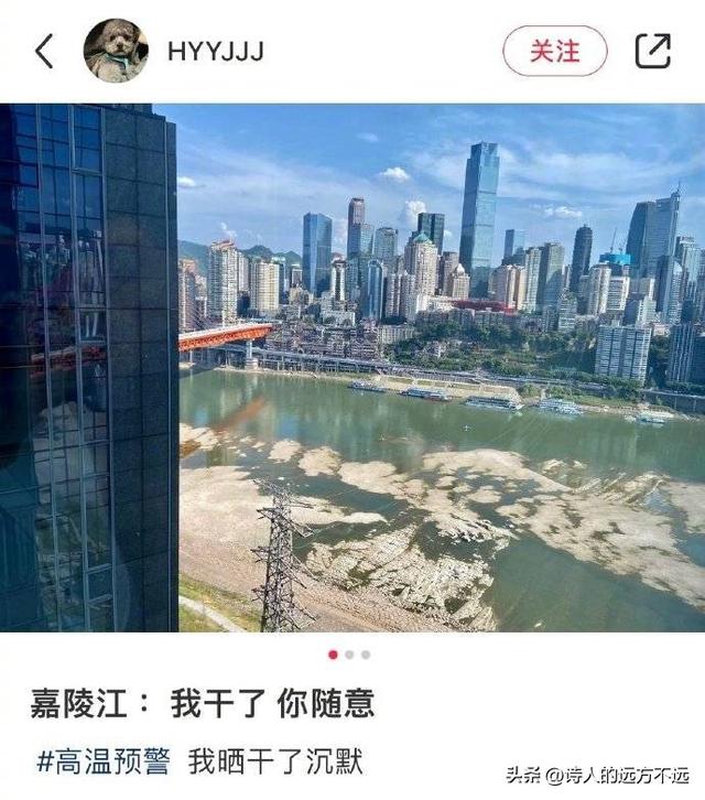 重庆高温天数再破纪录(重庆高温突破44.6)(4)