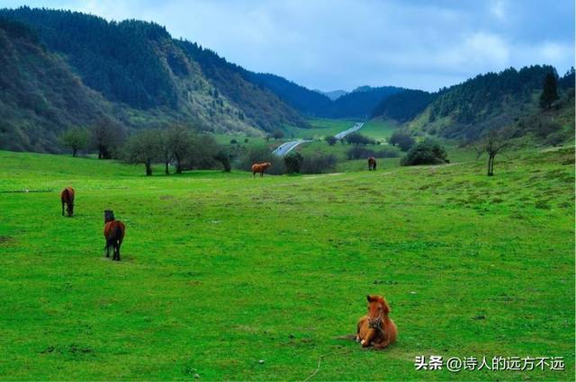 重庆高温天数再破纪录(重庆高温突破44.6)(11)