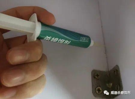 家里面有蟑螂的原因(为什么家里会有蟑螂)(图2) 家里面有蟑螂的原因(为什么家里会有蟑螂)(图2)