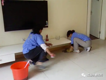 家里面有蟑螂的原因(为什么家里会有蟑螂)(图3) 家里面有蟑螂的原因(为什么家里会有蟑螂)(图3)