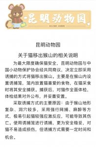 ​演员张馨予为“猴猫共处”事件发声：愤怒！精神折磨！