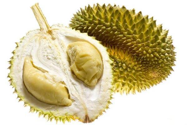 榴莲能用暖气催熟吗 冰冻榴莲的口感怎么样 榴莲能用暖气催熟吗 冰冻榴莲的口感怎么样