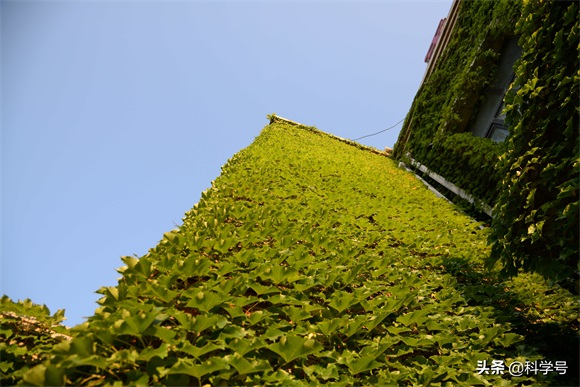 辽宁营口:一个值得回忆和行走的老街,成为了这个城市的新名片