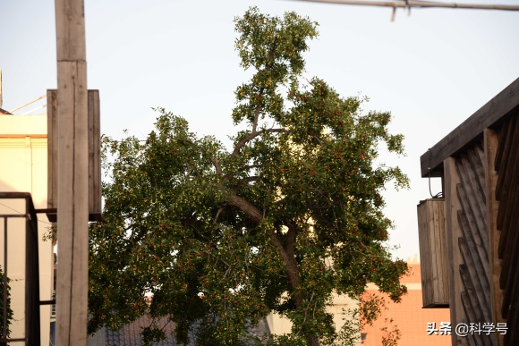 辽宁营口:一个值得回忆和行走的老街,成为了这个城市的新名片