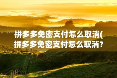 ​拼多多免密支付怎么取消(拼多多免密支付怎么取消？详细教程让你轻松操作)