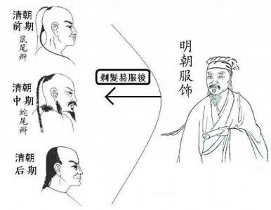 ​清代真的有金钱鼠尾这种发型？