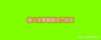 ​像火花,像蝴蝶段宁结局(像火花像蝴蝶段宁和谁在一起了)