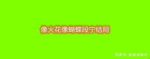 像火花,像蝴蝶段宁结局(像火花像蝴蝶段宁和谁在一起了)