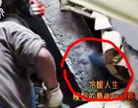 汶川地震灵异事件(寺庙中的佛像却毫发无伤)(3)_