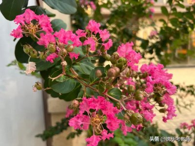 ​“绮”怎么读？