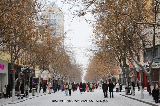 冬天的哈尔滨雪景(飘雪的哈尔滨美翻了)(10)