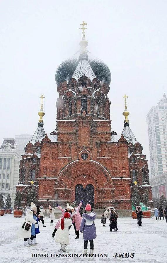 冬天的哈尔滨雪景(飘雪的哈尔滨美翻了)(4)