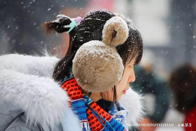 冬天的哈尔滨雪景(飘雪的哈尔滨美翻了)(50)