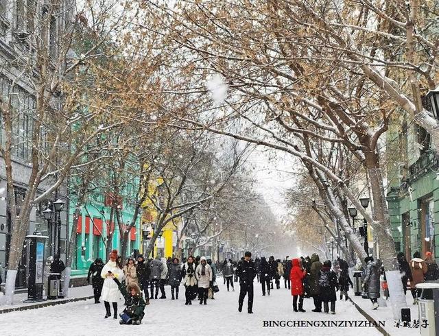 冬天的哈尔滨雪景(飘雪的哈尔滨美翻了)(85)