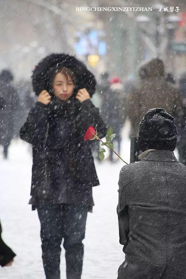 冬天的哈尔滨雪景(飘雪的哈尔滨美翻了)(42)