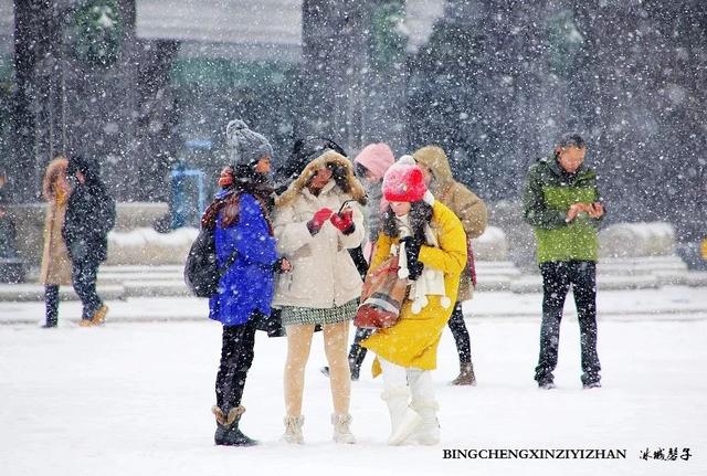 冬天的哈尔滨雪景(飘雪的哈尔滨美翻了)(27)