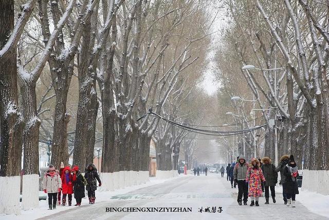 冬天的哈尔滨雪景(飘雪的哈尔滨美翻了)(8)
