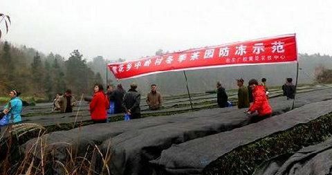 土防冻的常用方法有哪些