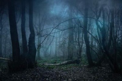 ​南方的“瘴气”是什么？为什么古人会谈之色变？