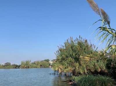 ​冬天鲤鱼该怎么钓？精髓都在这里