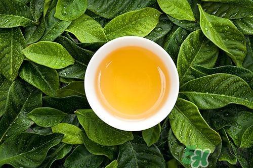 番石榴叶煮水的功效 番石榴叶可不可以醒酒 番石榴叶煮水的功效 番石榴叶可不可以醒酒