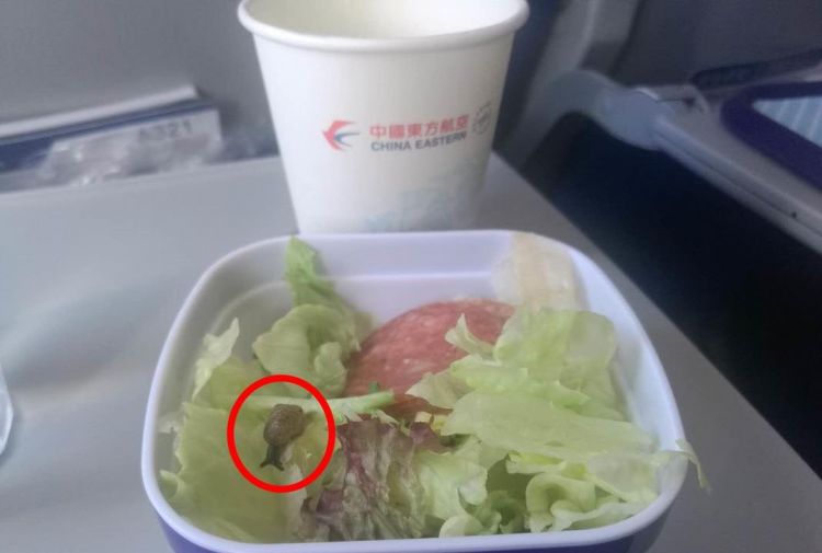 坐飞机能带零食吗?