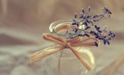 ​端午短信祝福语大全，关于端午节简短祝福语