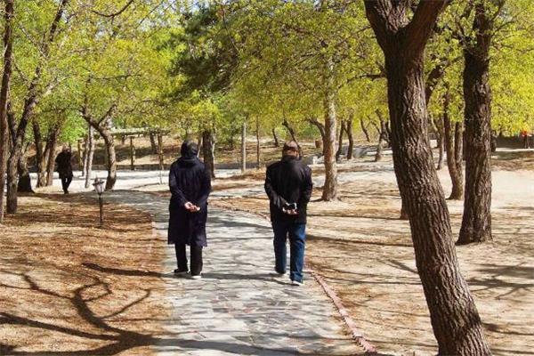 倒走每天多少时间合适 倒走要天天走吗 倒走每天多少时间合适 倒走要天天走吗