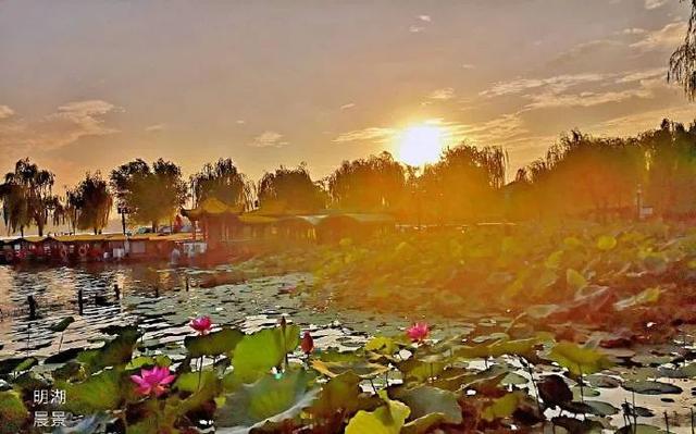 您还记得大明湖畔的夏雨荷吗(瞧大明湖畔的)(9)