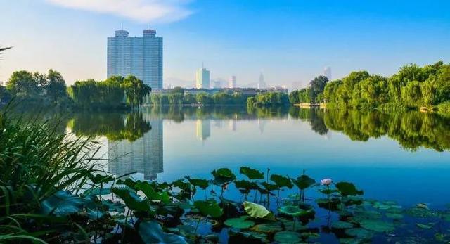 您还记得大明湖畔的夏雨荷吗(瞧大明湖畔的)(11)