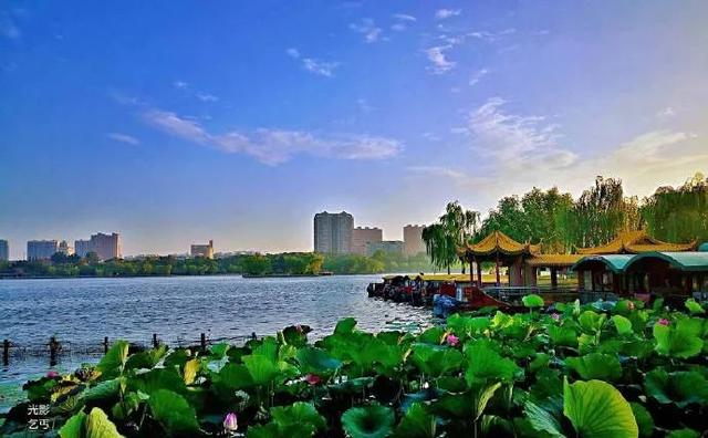 您还记得大明湖畔的夏雨荷吗(瞧大明湖畔的)(6)