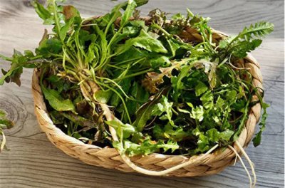 ​木须菜野菜的营养价值 野菜的营养价值 各种野菜营养价值及做法