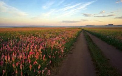 ​描写夏天炎热的句子，烈日炎炎的唯美句子