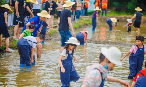 微博摸鱼是什么意思