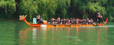 ​苗族的传统节日是什么节