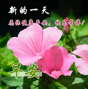 ​最火最好的早上好图片大全，祝你健康，祝你快乐！