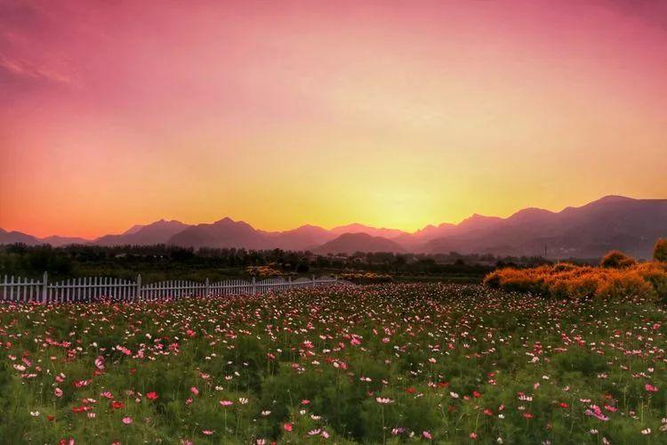 四、福州永泰千亩花海旅游区