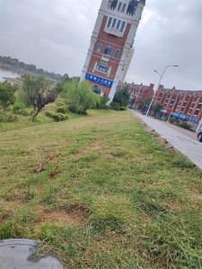 ​你见过一个传销组织中的女性嘛？