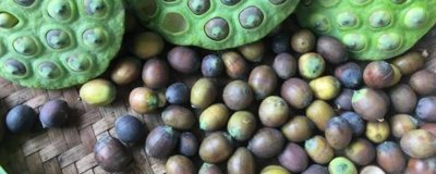 ​干莲子要去皮吗怎么吃 干莲子要去皮吗图片