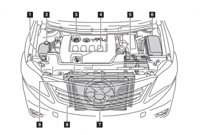 ​引擎盖(引擎盖锁扣原理视频)