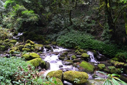 第二天:腾冲——高黎贡山